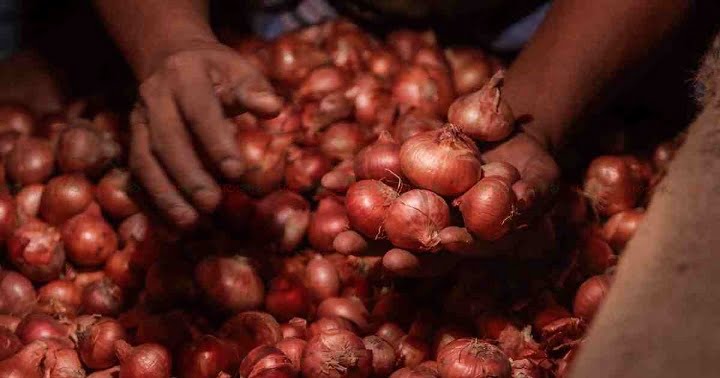 onion heat fired in bangladesh