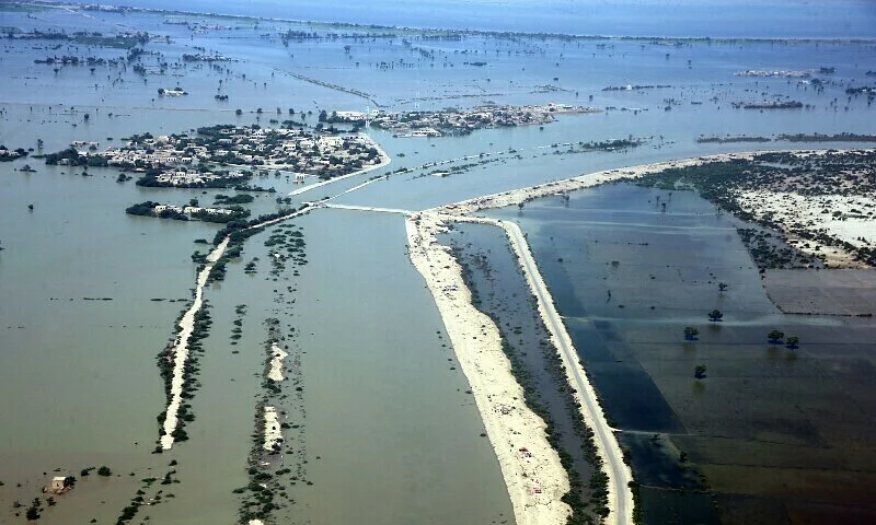 পাকি বন্যা